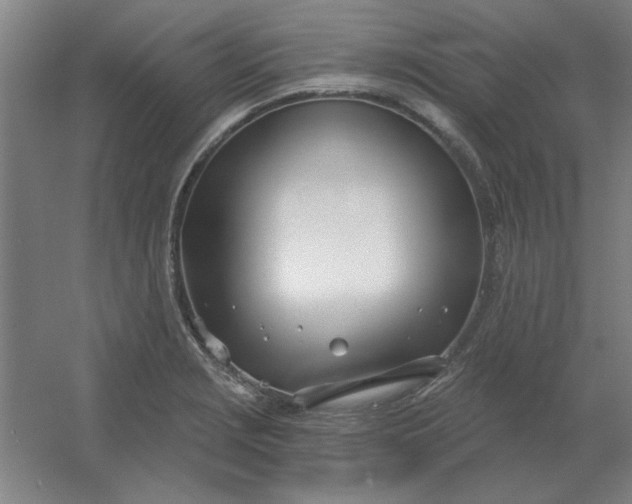 X0000054421229200508121743