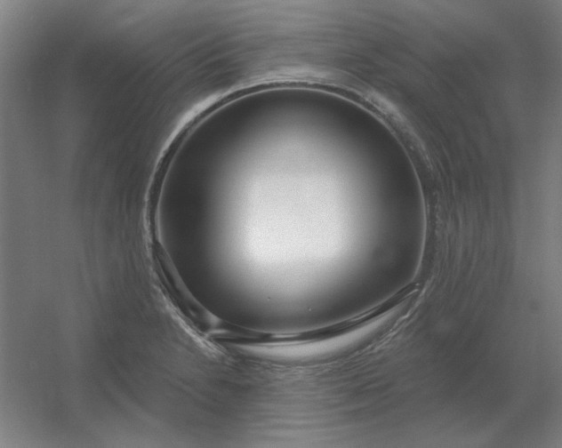 X0000054421230200508121743