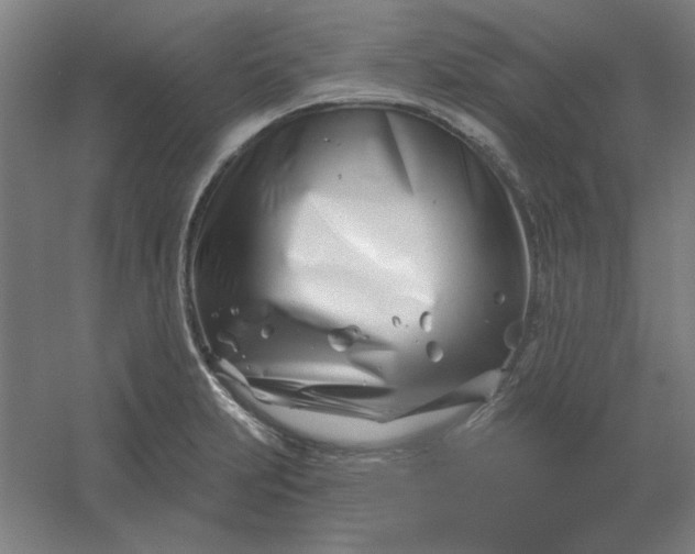 X0000054421231200508121743