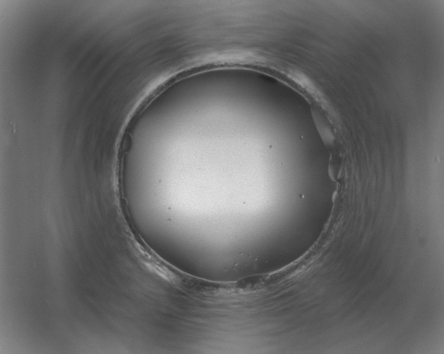 X0000054421232200508121743