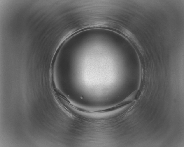 X0000054421234200508121743