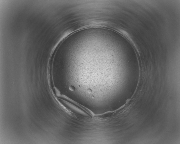 X0000054421235200508121743