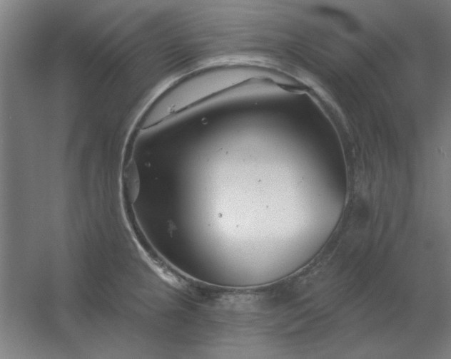 X0000054421237200508121743