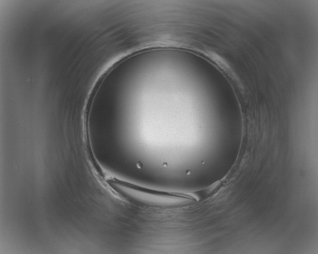 X0000054421238200508121743