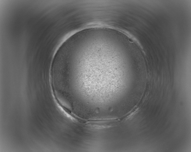 X0000054421239200508121743