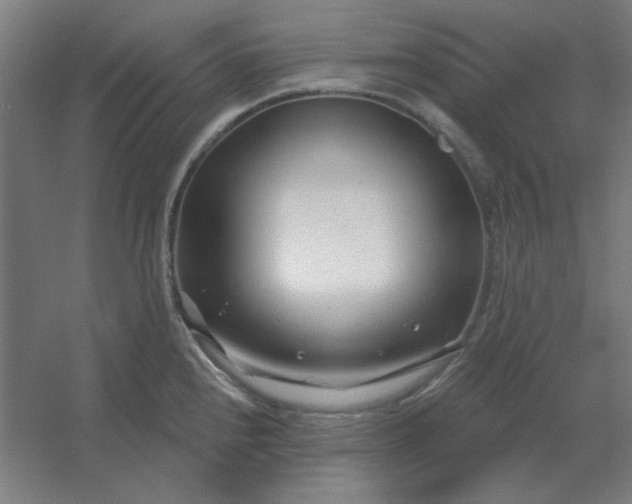 X0000054421240200508121743