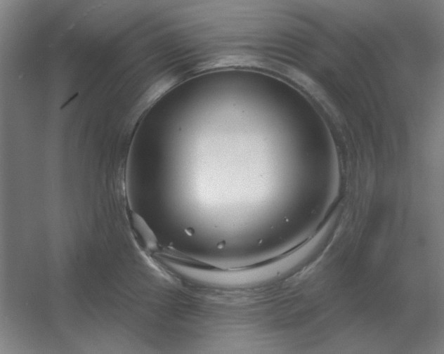 X0000054421241200508121743