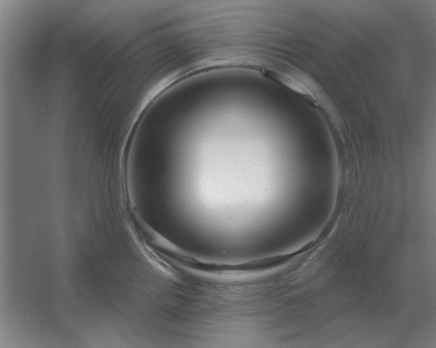 X0000054421242200508121743