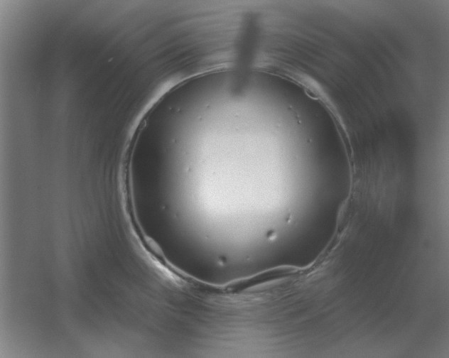 X0000054421243200508121743