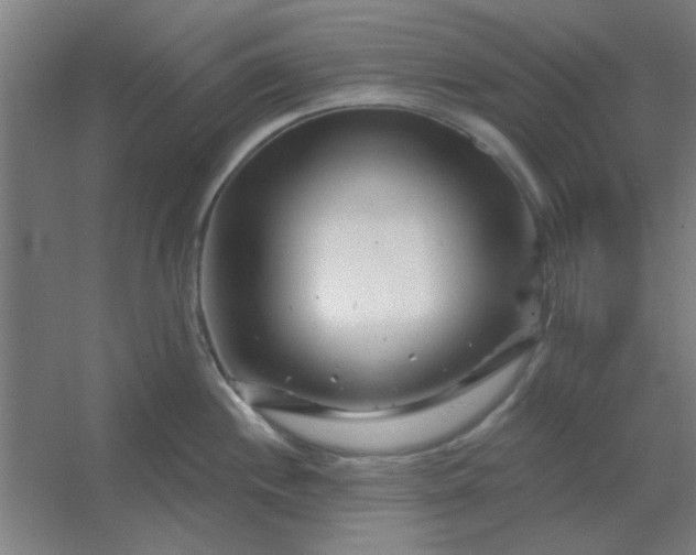 X0000054421244200508121743