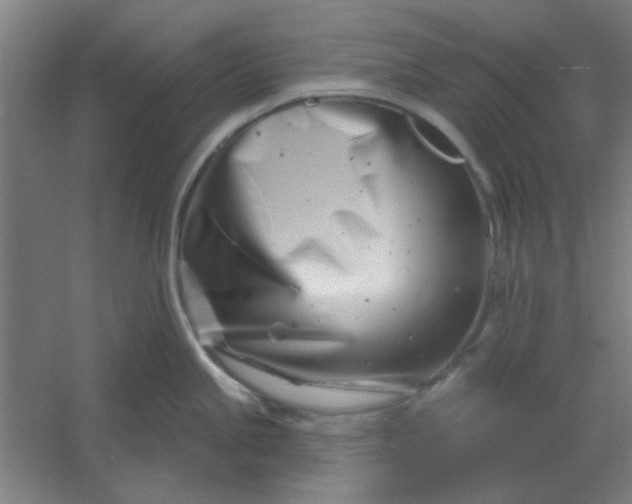 X0000054421245200508121743