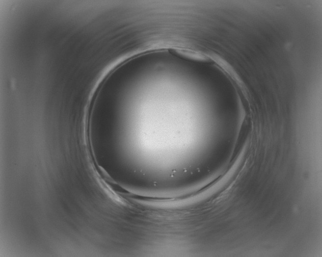 X0000054421246200508121743