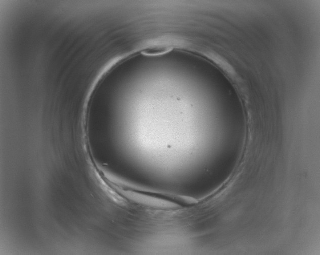 X0000054421248200508121743