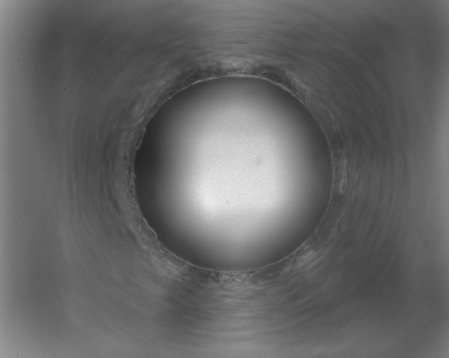 X0000054421249200508121742