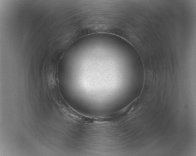 X0000054421250200508121742