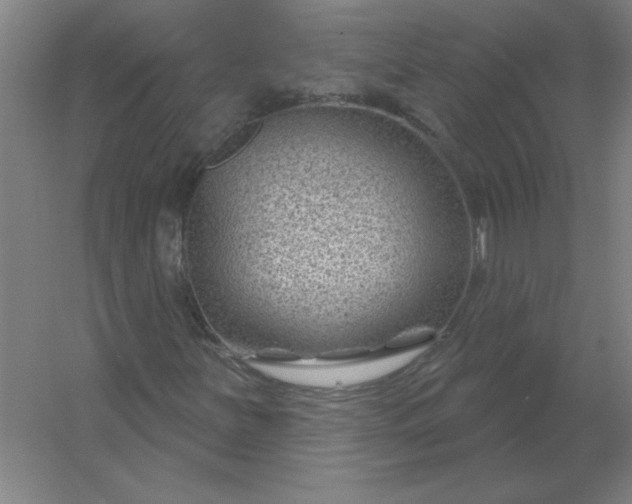 X0000054421251200508121742