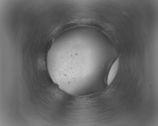 X0000054421252200508121742