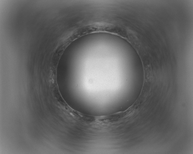 X0000054421253200508121742