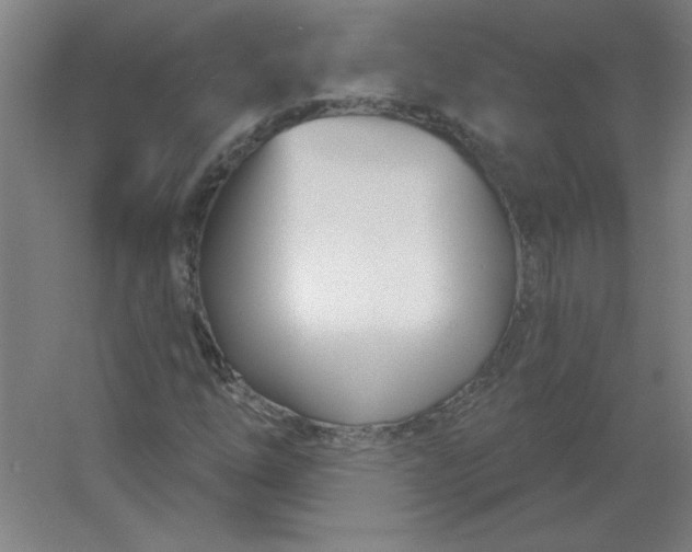 X0000054421254200508121742