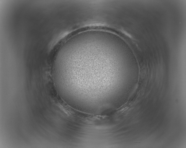 X0000054421255200508121742