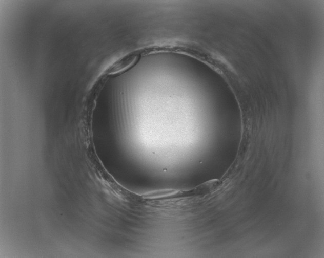 X0000054421256200508121742