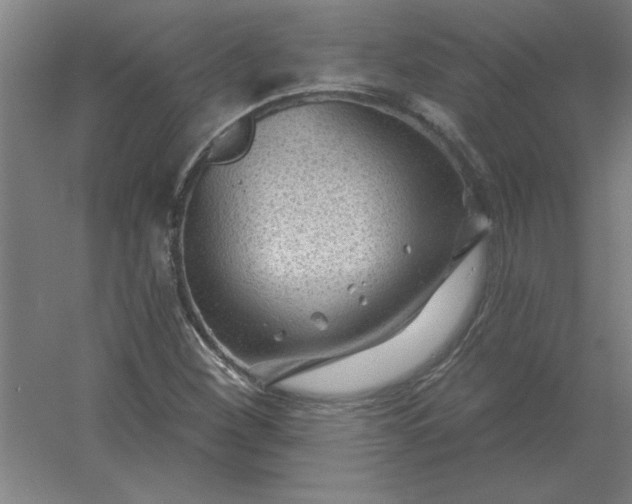 X0000054421260200508121742