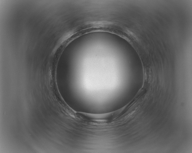 X0000054421261200508121742