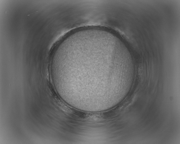 X0000054421262200508121742