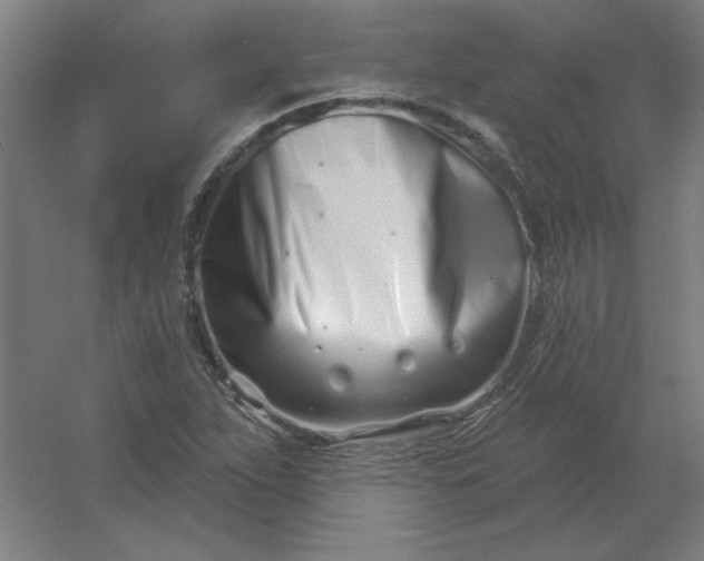 X0000054421263200508121742