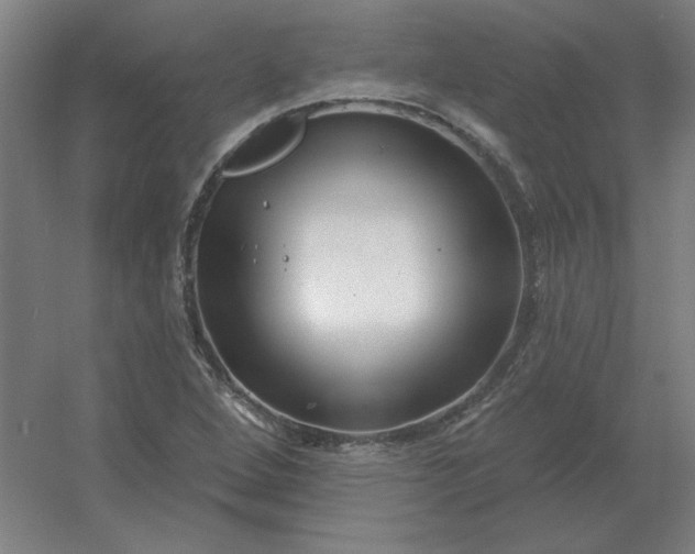 X0000054421264200508121742