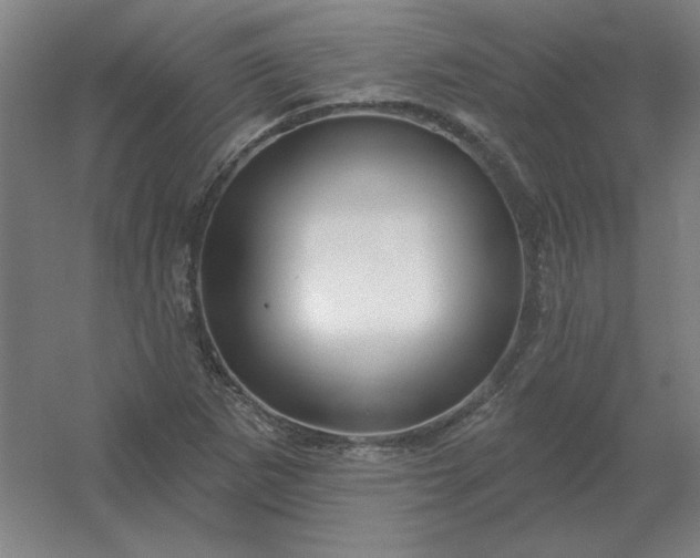 X0000054421265200508121742