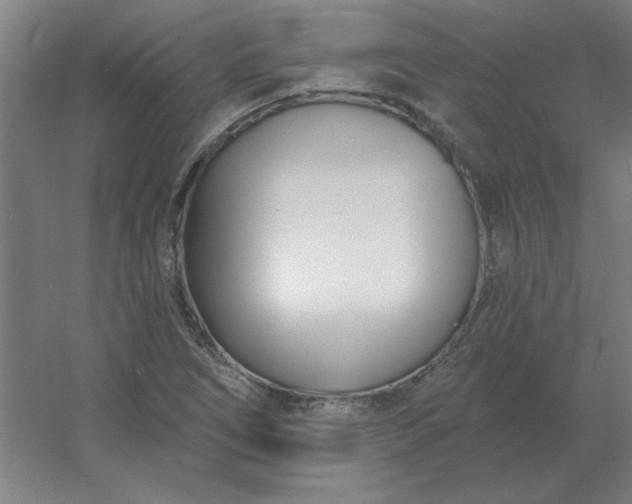 X0000054421266200508121742