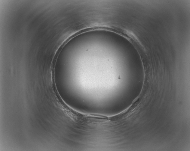 X0000054421268200508121742