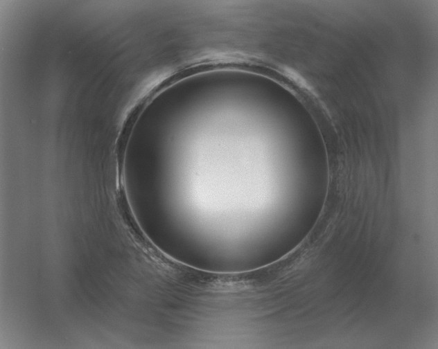 X0000054421269200508121742