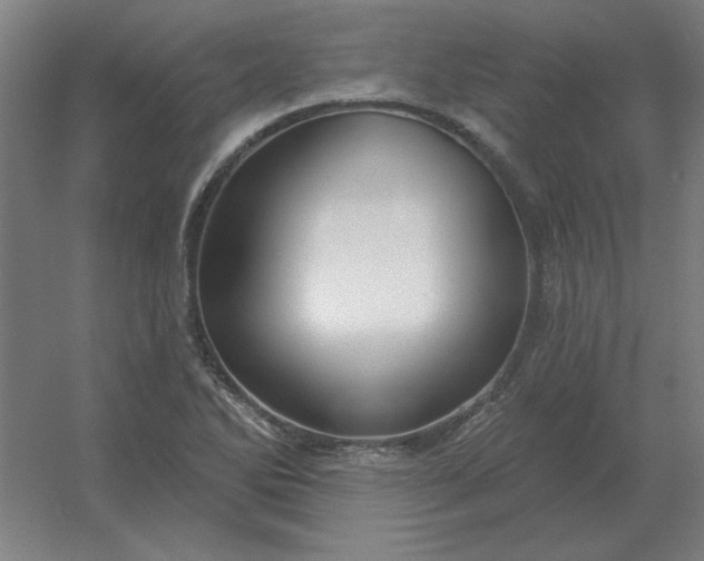 X0000054421270200508121742