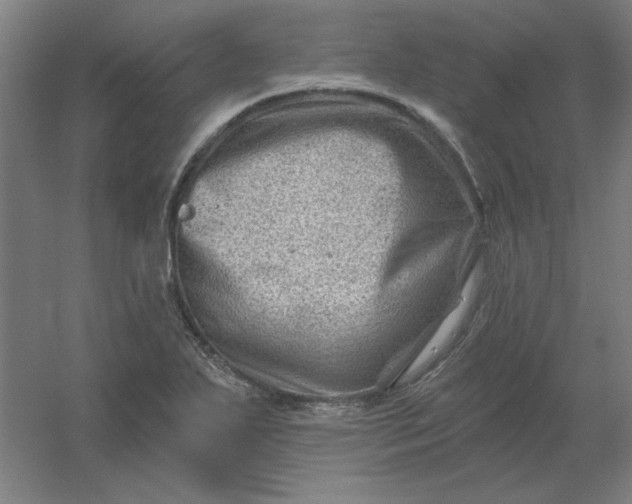 X0000054421271200508121742