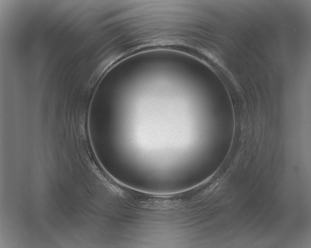 X0000054421273200508121742