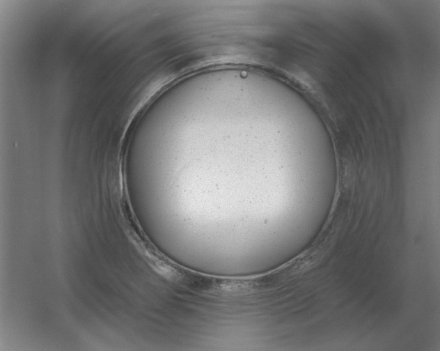 X0000054421274200508121742