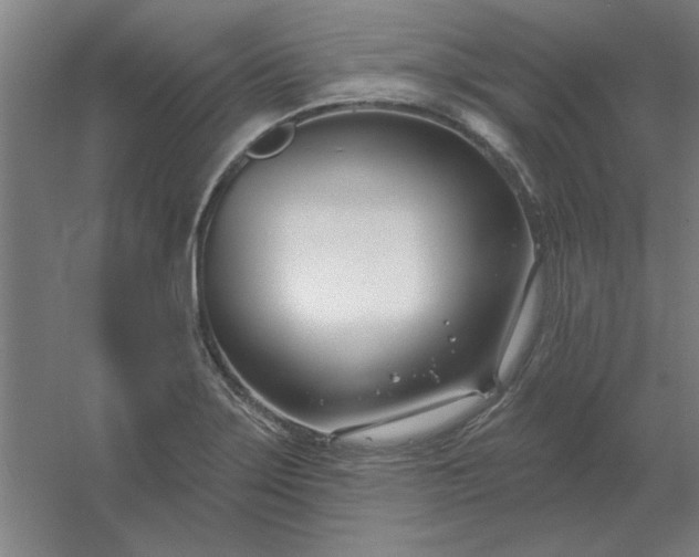 X0000054421275200508121742