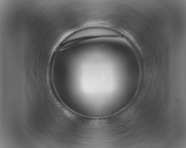 X0000054421277200508121742