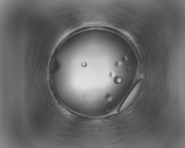 X0000054421279200508121742