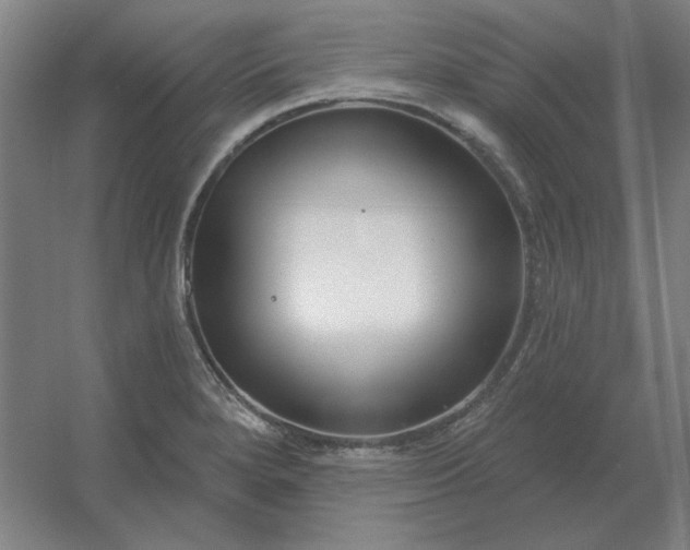 X0000054421280200508121742