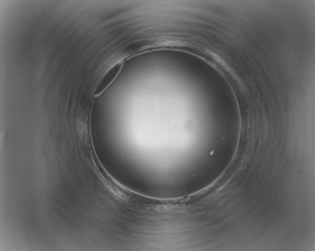 X0000054421281200508121742