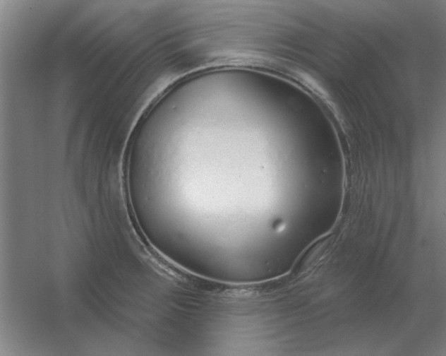 X0000054421283200508121742