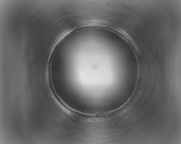 X0000054421285200508121742