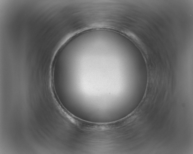 X0000054421286200508121742