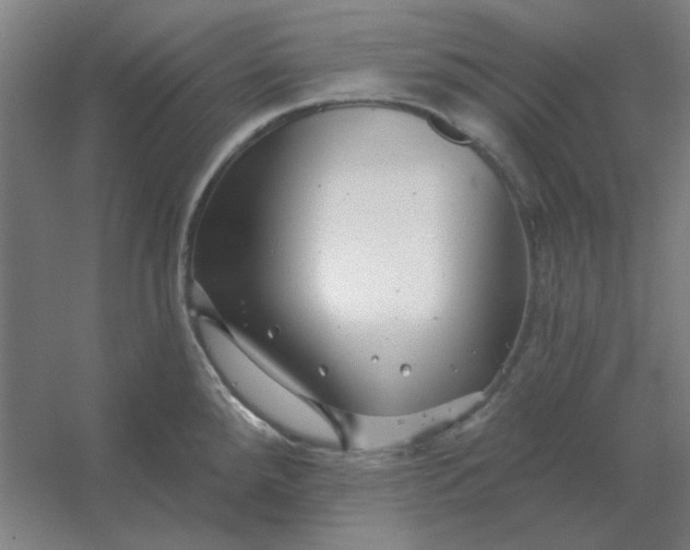 X0000054421288200508121742