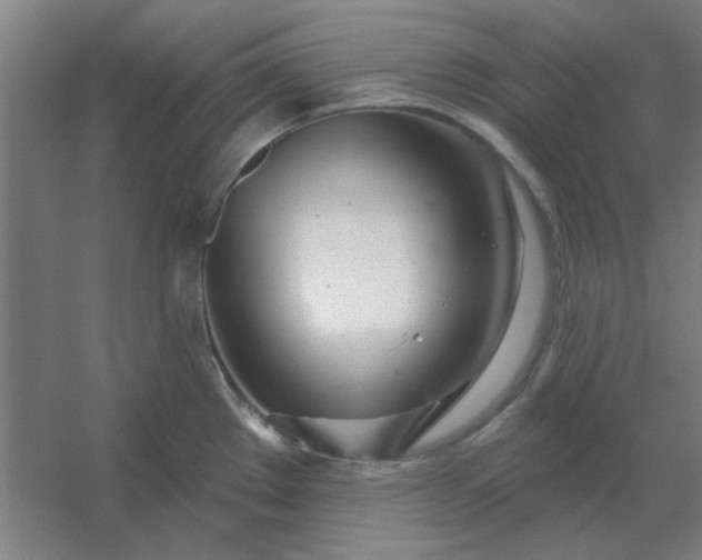 X0000054421289200508121742