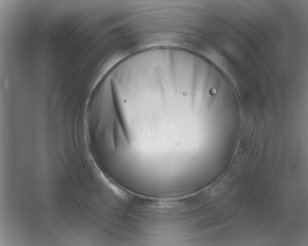 X0000054421290200508121742