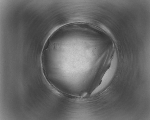 X0000054421291200508121741